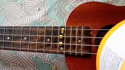 resonating ukulele strings by singing