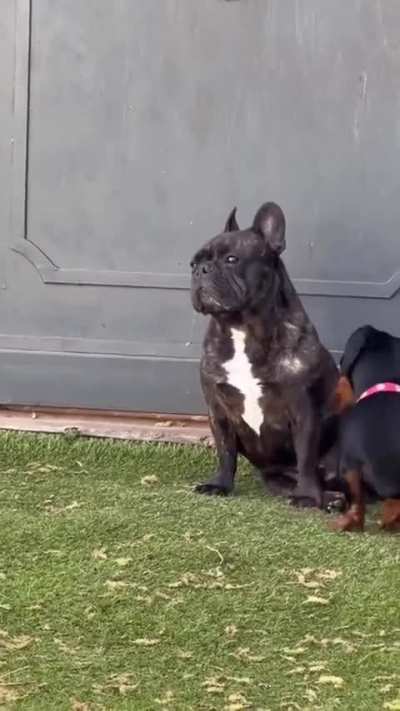 Wanting to build friendships”