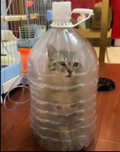 he will be smoked like a fancy cocktail