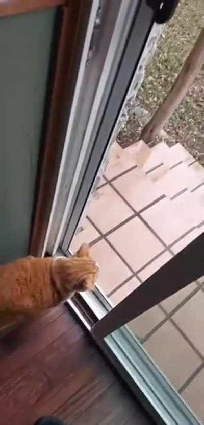 I gave him head smooches later dw