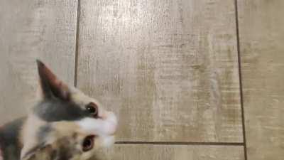 She regularly does this when I pick her up