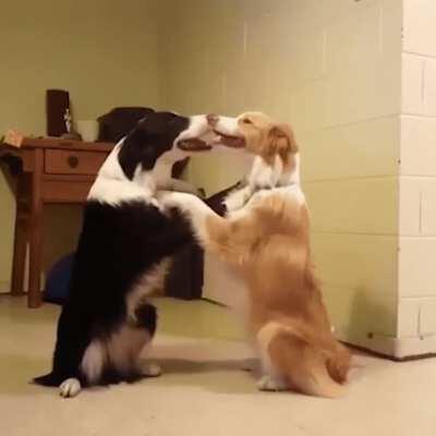 Here's a compilation to finish up with your day :)