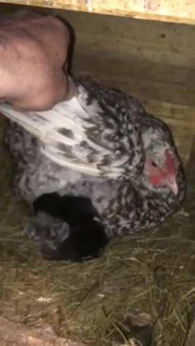 Russian mothers don’t discriminate I guess