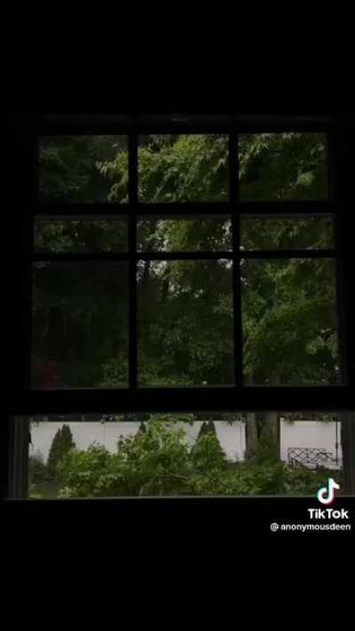 Reciters/Qaari like the one in the video?