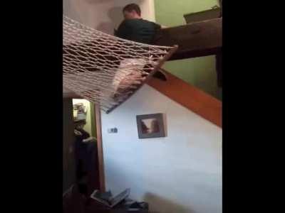 It takes good balance to get into a hammock