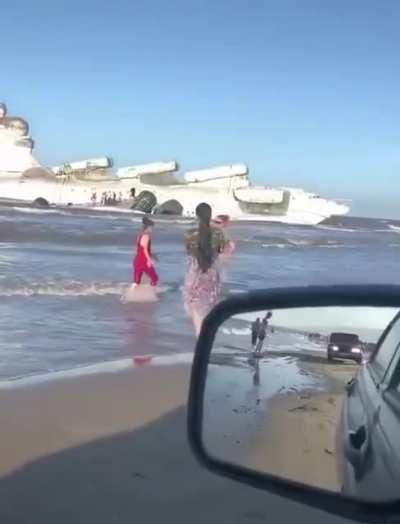 That's a weird looking whale...