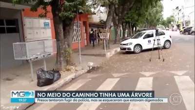 Life imitates art in the most amazing ways sometimes...