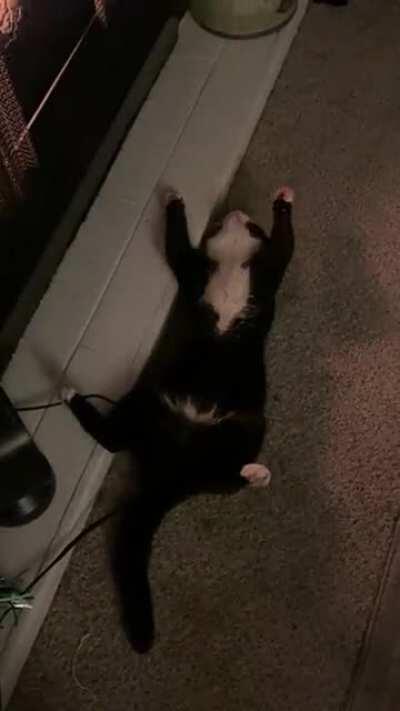 Someone likes the Fire .. I swear he’s alive 😅