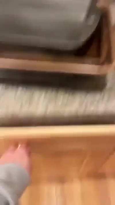 MY ICECREAM 🍧🍧