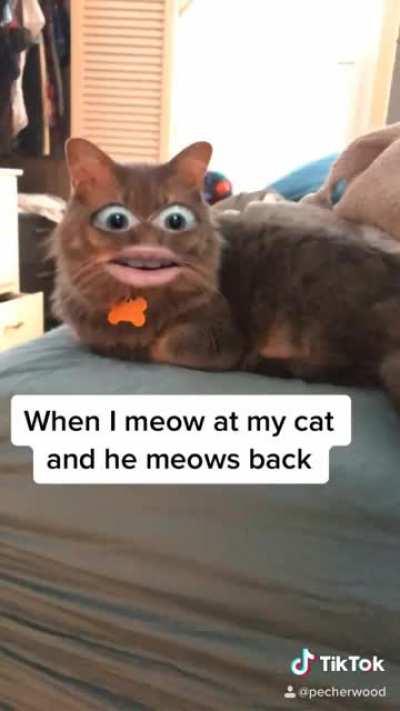 Meow