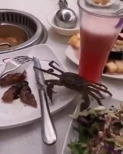 I don’t give a crab