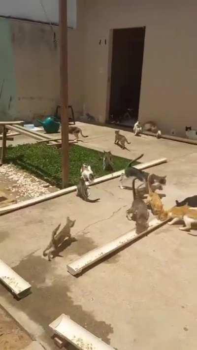 Prepare for lunch.  It's on the personal table