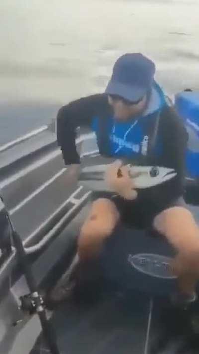 Behold (or not) the Vibrafish