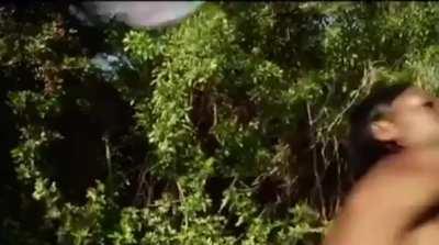 Dildo Javelin Throwing