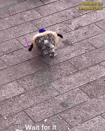 This MAGICIAN will never get hungry