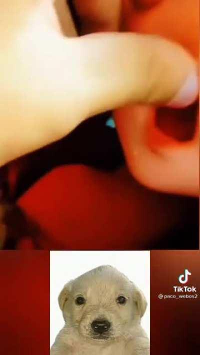 La salsa? 💳💥💳💥 LA SALSA AHORA!💳✊🏻💥💳✊🏻💥💳✊🏻💥