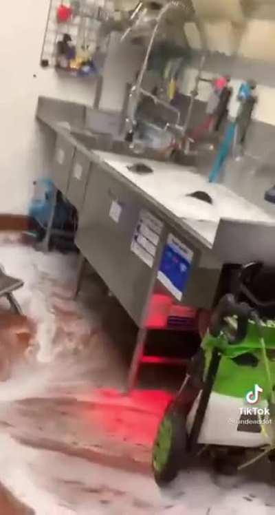 Cannonballing into the Taco Bell sink