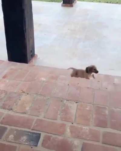 How to make an entrance.