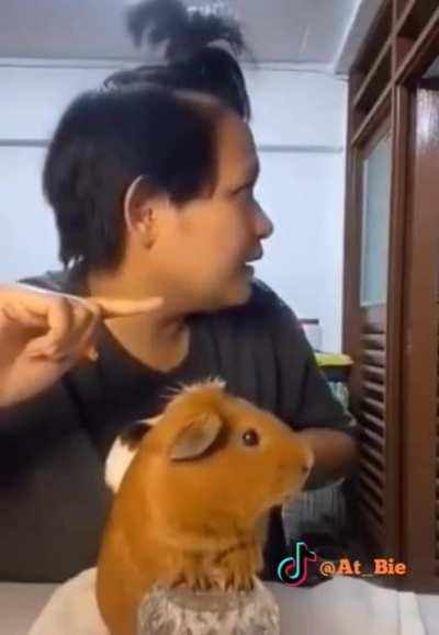 What was that sound?