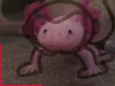 Well that’s bloody adorable