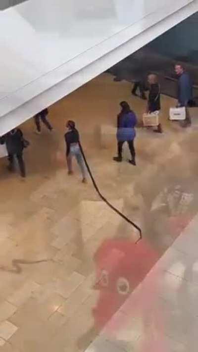 I know what she thinking, this inconvenience is soooo empowering!