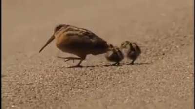 Don't be suspicious 🎵 Don't be suspicious 🎵