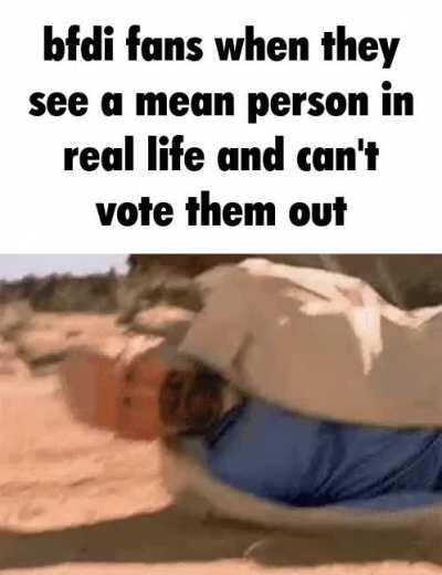 BFDI fans