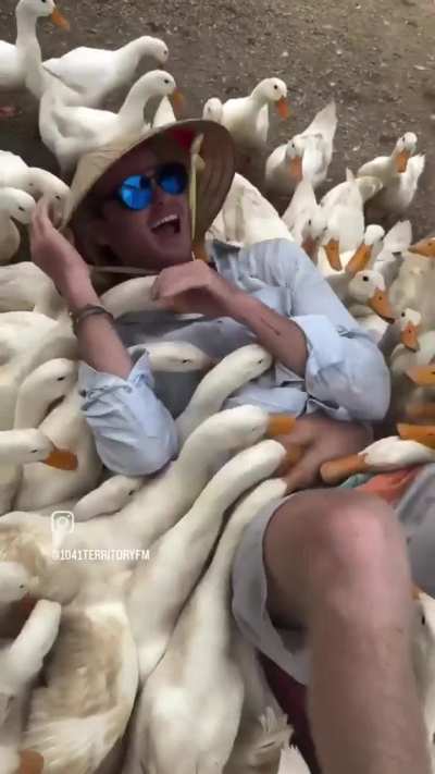 Wholesome way of feeding the duckies