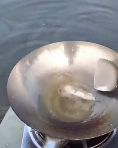 Hey now, you're a wokstar