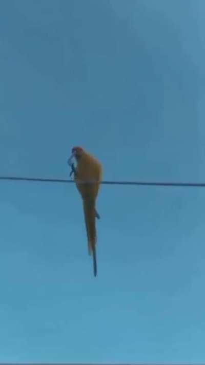 Чё ты там слушаешь?