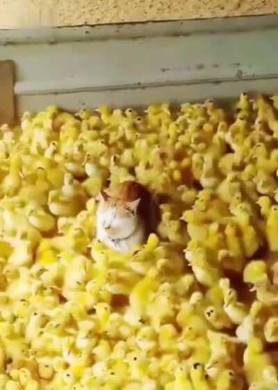 I never asked for any of this