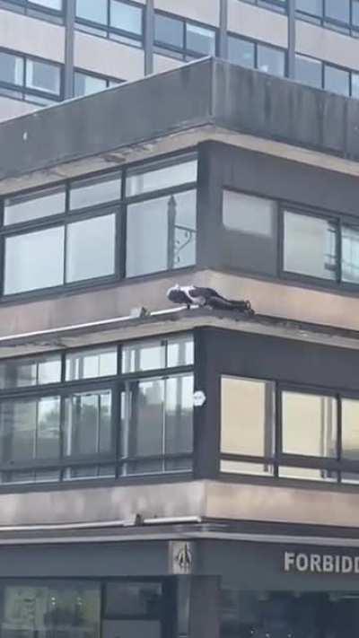 I guess the elevator is out of service again..