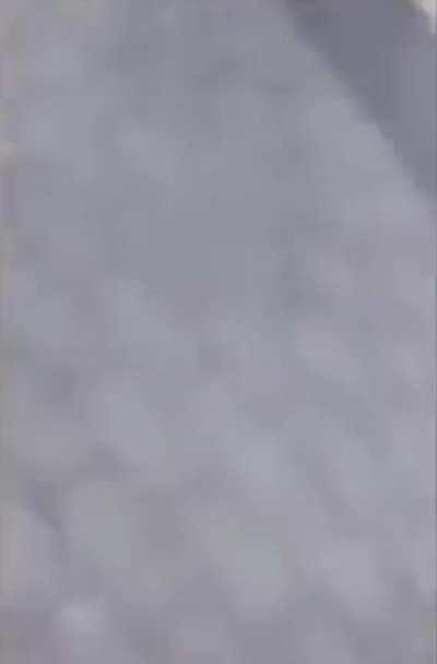 Young boy disturbs relaxing dog on the ground