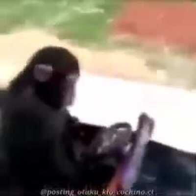 Sinplemente Orson a las 10 de la noche piloteando su nave