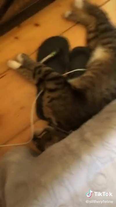 Sick fuck kills his cat than laughs