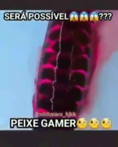 PEIXE COM REDRAGON CHROMA MK2?????? 😱😱😱😱😱