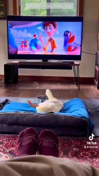 Shhhh! Dis ma favorite show!