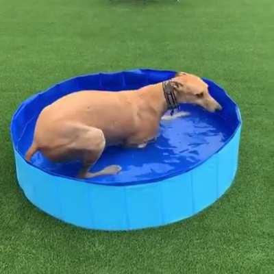 What could be better than a pool on a hot summer day?