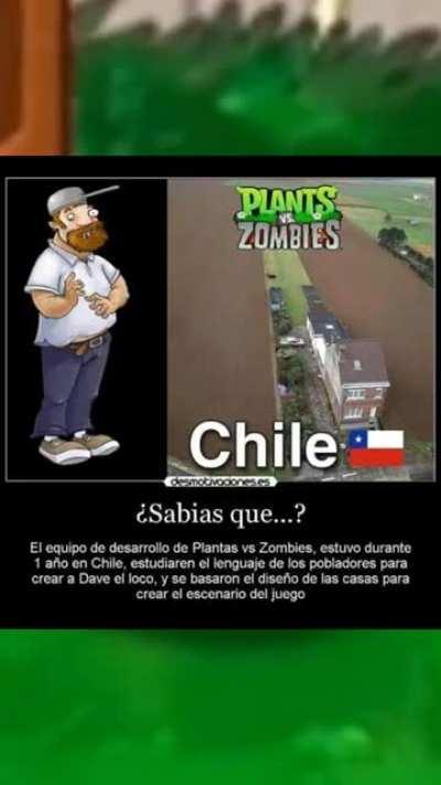 Jaja, Chile largo