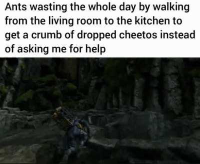 i fucking hate ants, let me help you retars😡😡😡😡