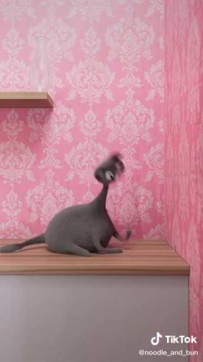 thanks, I hate wobbly cat animation.