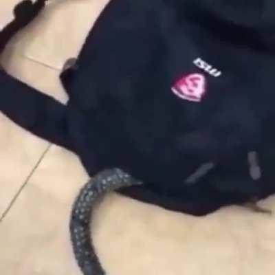 Scared the shir out of me