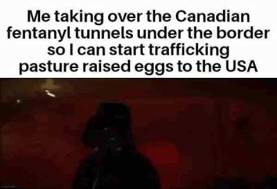 None shall stand in the way of my egg empire