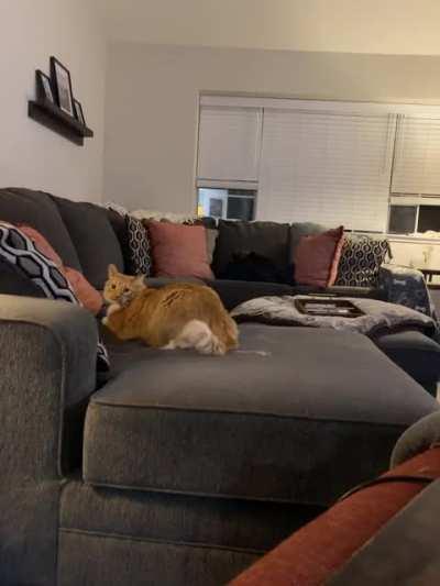 Those dang couch greebles!