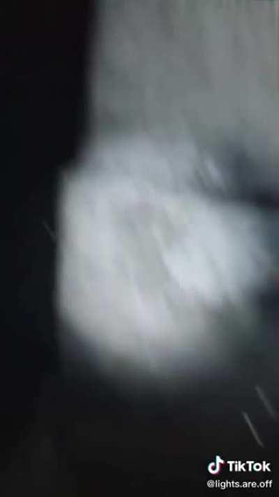 These hyper realistic CGIs (xpost from r/TIHI)