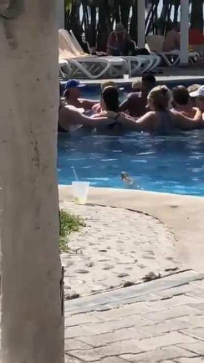 Iguana just wanted to join in the pool party
