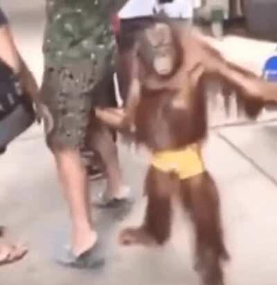 hubert has been charged with sexual assault