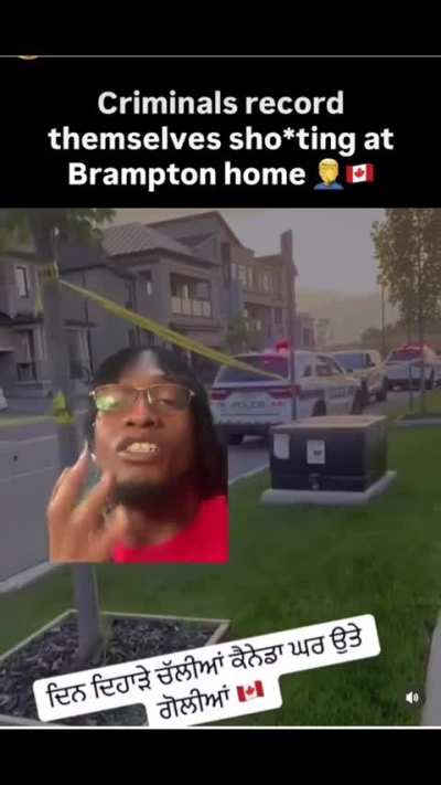 Cashflofreeze speaking on the South asians running southern ontario’s crime