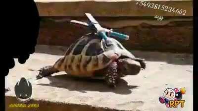 Bu videoyu cehennemin dibinden çıkarıp getirdim