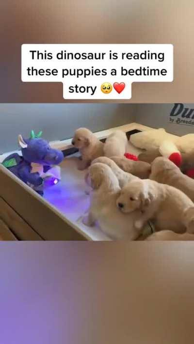 Read books to puppies